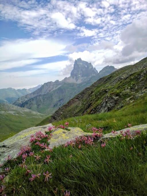 Апартаменты Atico La Flor Del Sol Канфранк Экстерьер фото